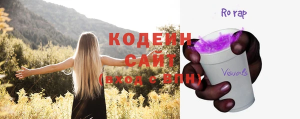 соль ск Верхний Тагил