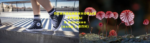 соль ск Верхний Тагил