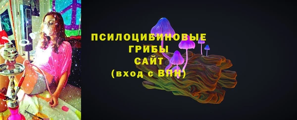 не бодяженный Бородино