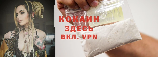 не бодяженный Бородино