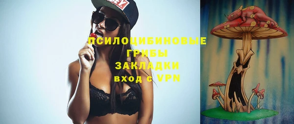 не бодяженный Бородино