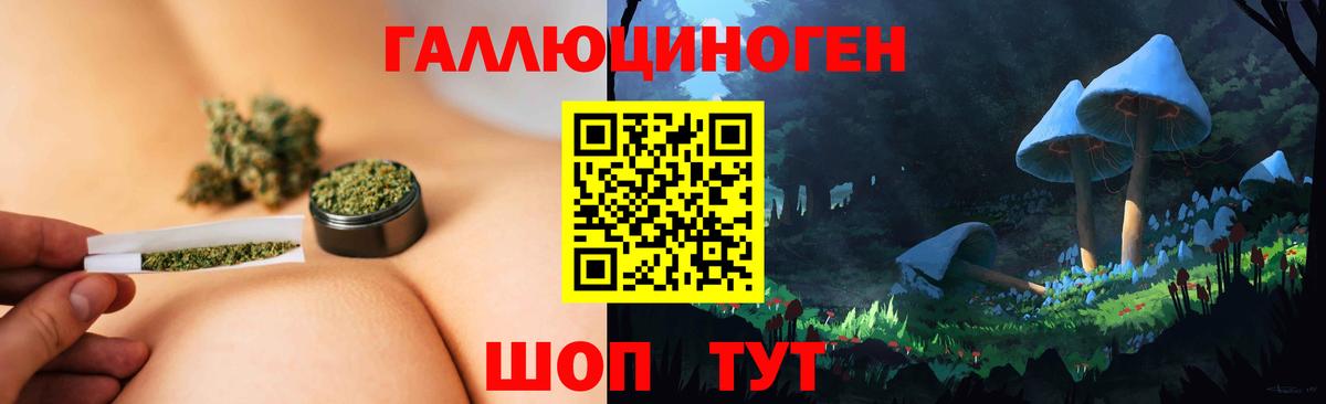 Галлюциногенные грибы Psilocybine cubensis Городец